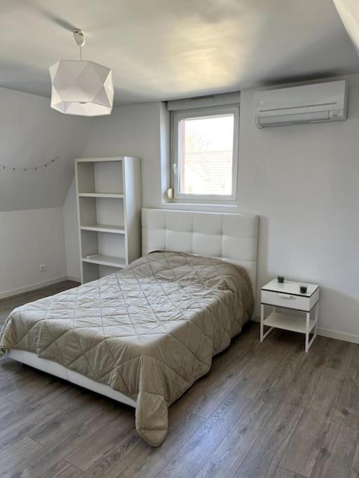 Appartement F5 Maison De Maitre Mulhouse Eksteriør billede