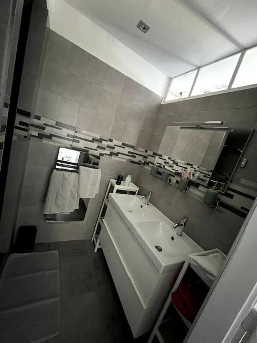 Appartement F5 Maison De Maitre Mulhouse Eksteriør billede