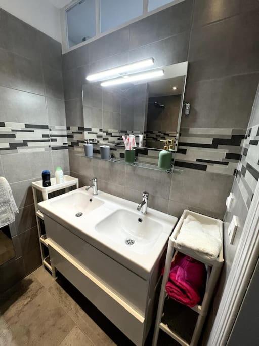Appartement F5 Maison De Maitre Mulhouse Eksteriør billede