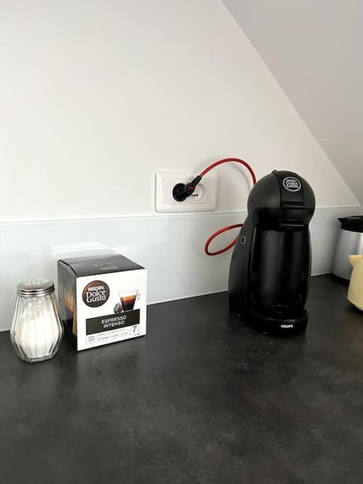 Appartement F5 Maison De Maitre Mulhouse Eksteriør billede