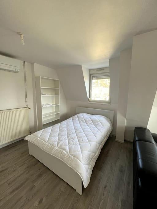 Appartement F5 Maison De Maitre Mulhouse Eksteriør billede