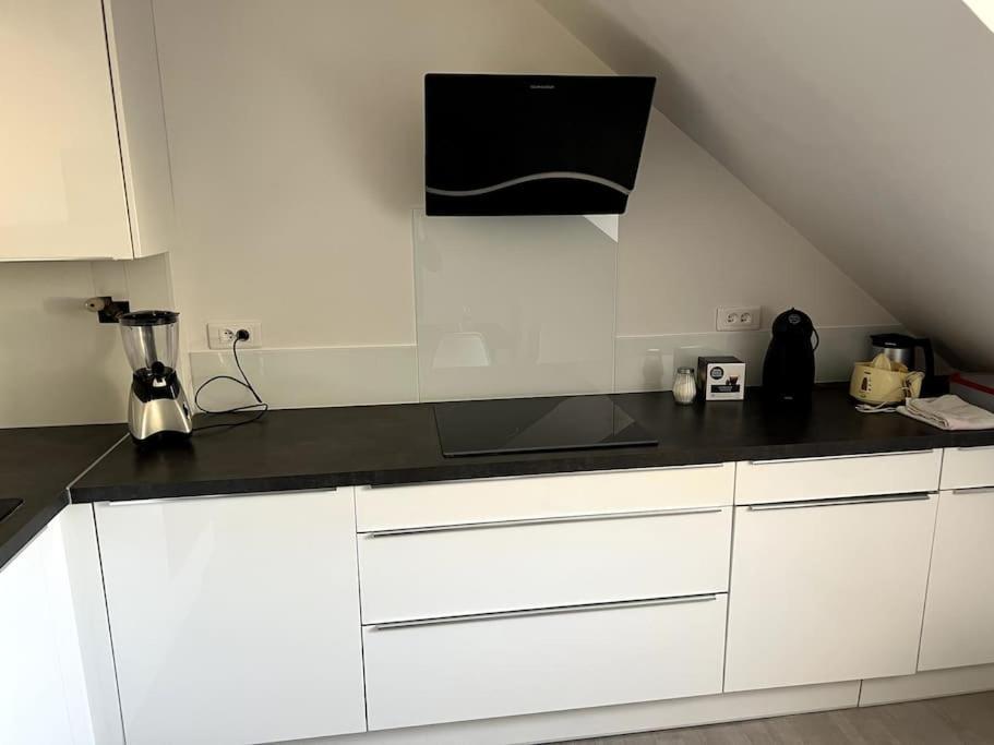Appartement F5 Maison De Maitre Mulhouse Eksteriør billede