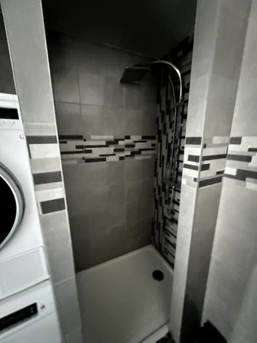 Appartement F5 Maison De Maitre Mulhouse Eksteriør billede