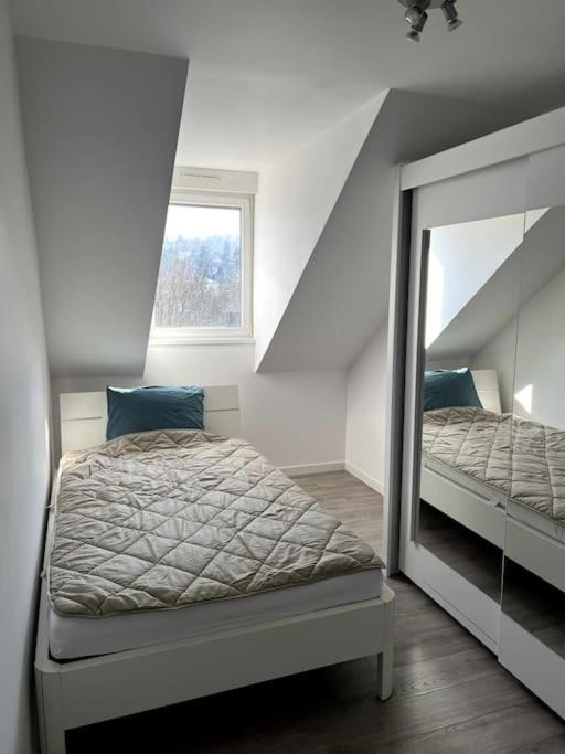 Appartement F5 Maison De Maitre Mulhouse Eksteriør billede