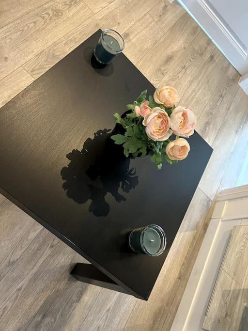 Appartement F5 Maison De Maitre Mulhouse Eksteriør billede