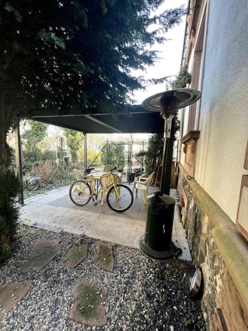 Appartement F5 Maison De Maitre Mulhouse Eksteriør billede