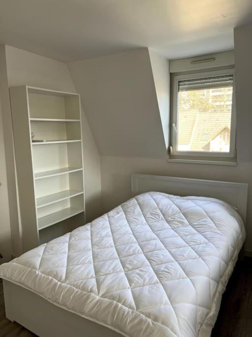 Appartement F5 Maison De Maitre Mulhouse Eksteriør billede