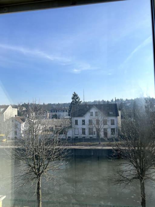 Appartement F5 Maison De Maitre Mulhouse Eksteriør billede
