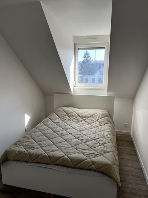 Appartement F5 Maison De Maitre Mulhouse Eksteriør billede
