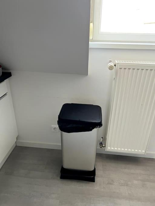 Appartement F5 Maison De Maitre Mulhouse Eksteriør billede