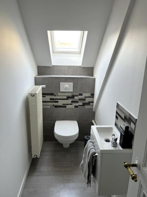 Appartement F5 Maison De Maitre Mulhouse Eksteriør billede