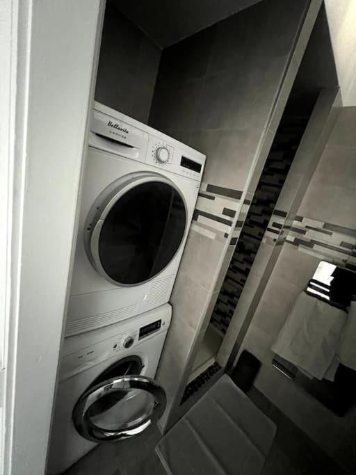 Appartement F5 Maison De Maitre Mulhouse Eksteriør billede